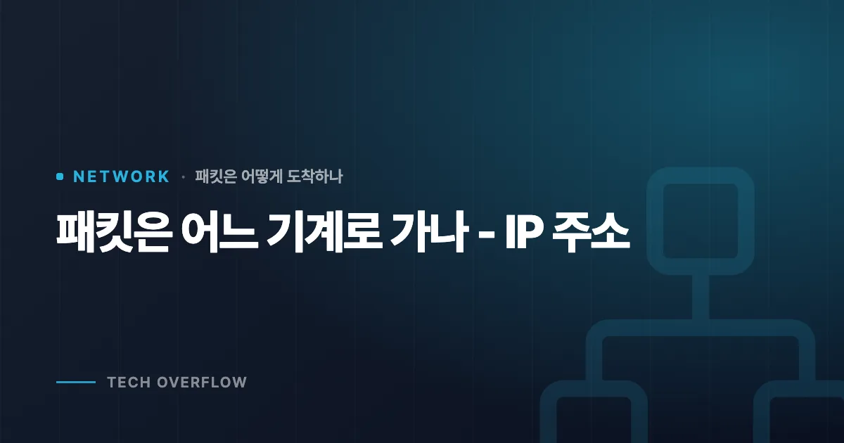 패킷은 어느 기계로 가나 - IP 주소